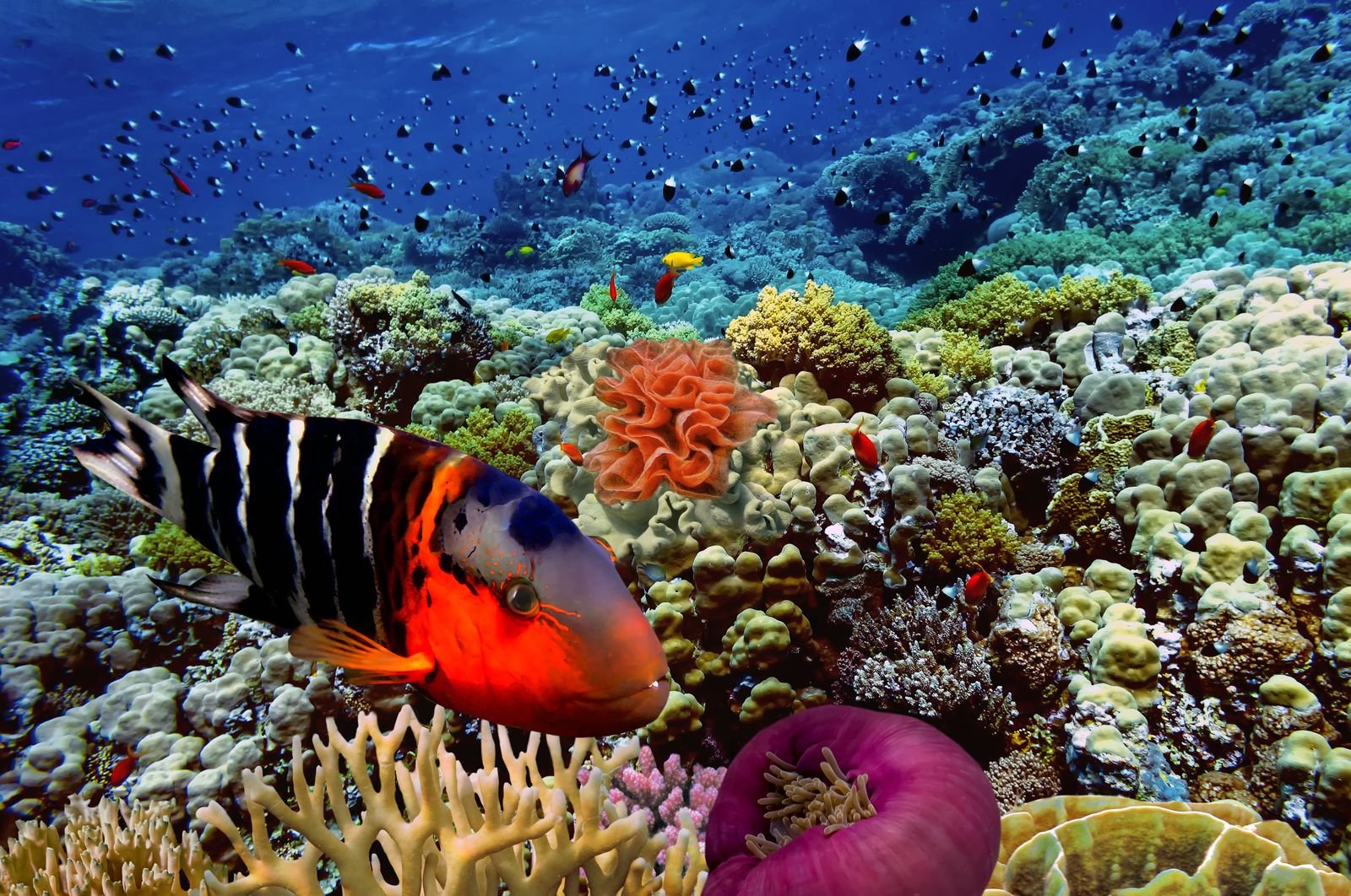 Hurghada & The Red Sea