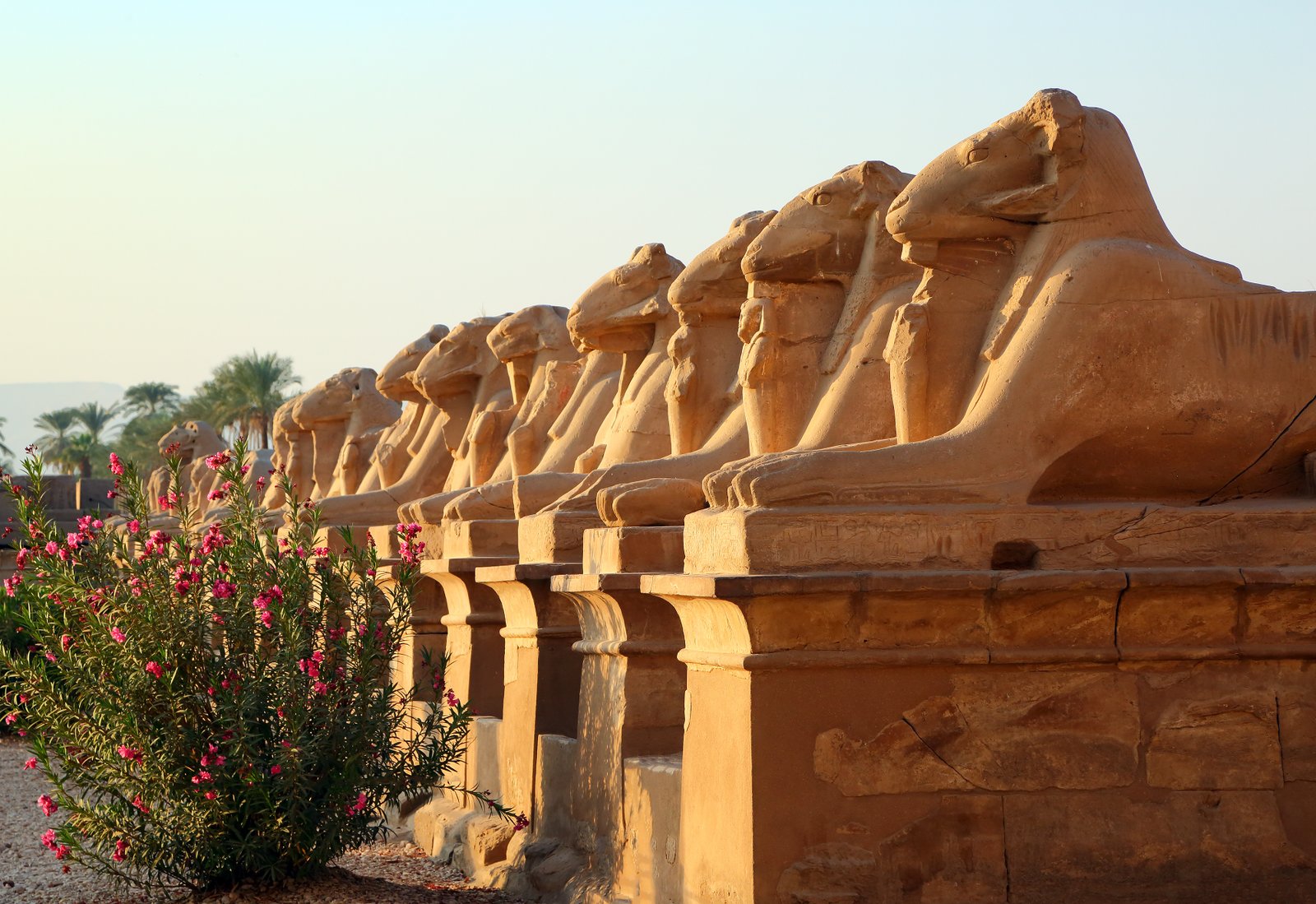 Best places to visit in Egypt
