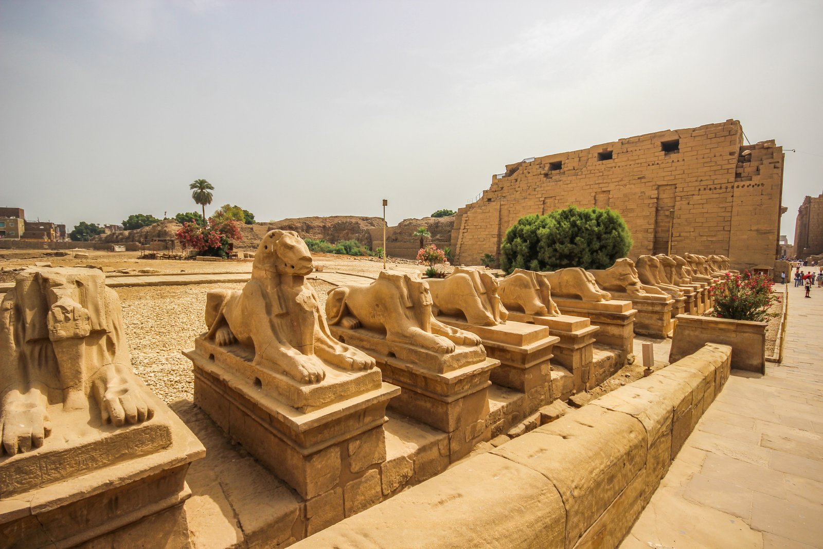 Best places to visit in Egypt