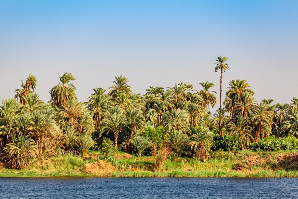 Cairo Egypt