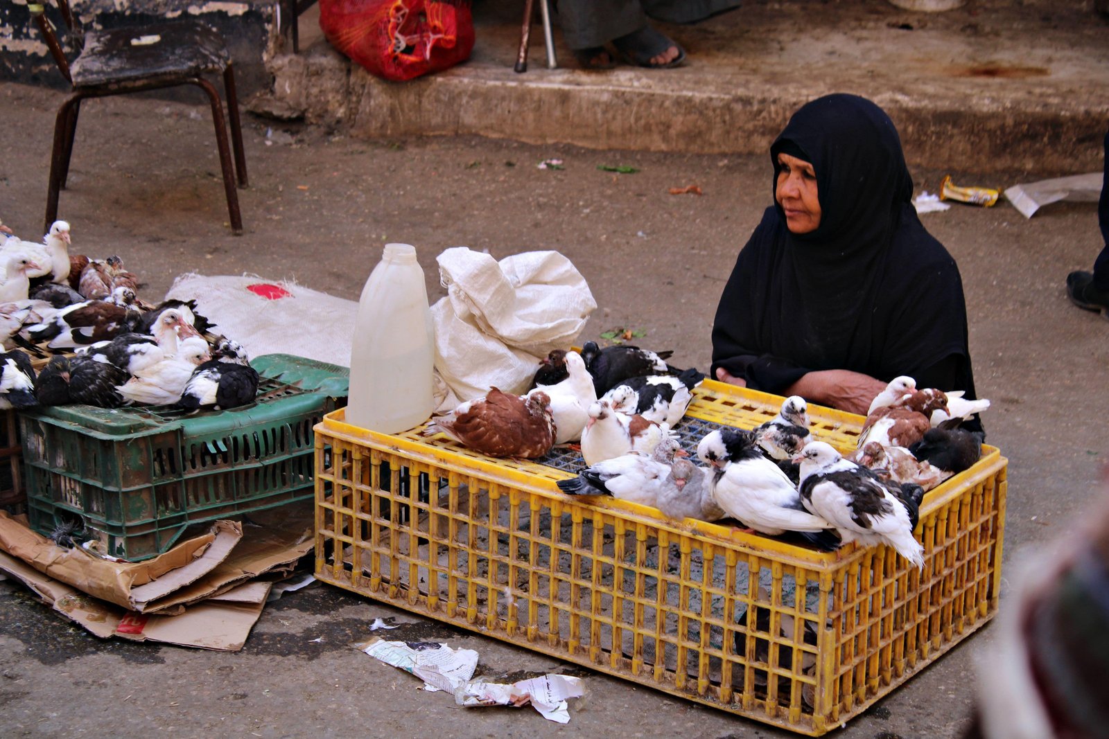 Cairo Egypt