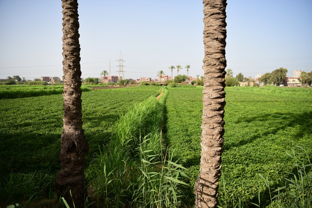 Interesting Places in Egypt