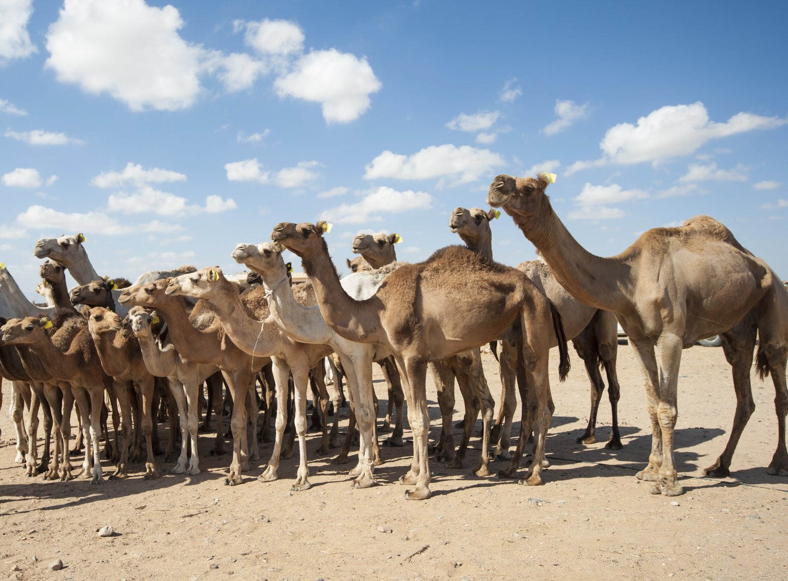 Interesting Places in Egypt