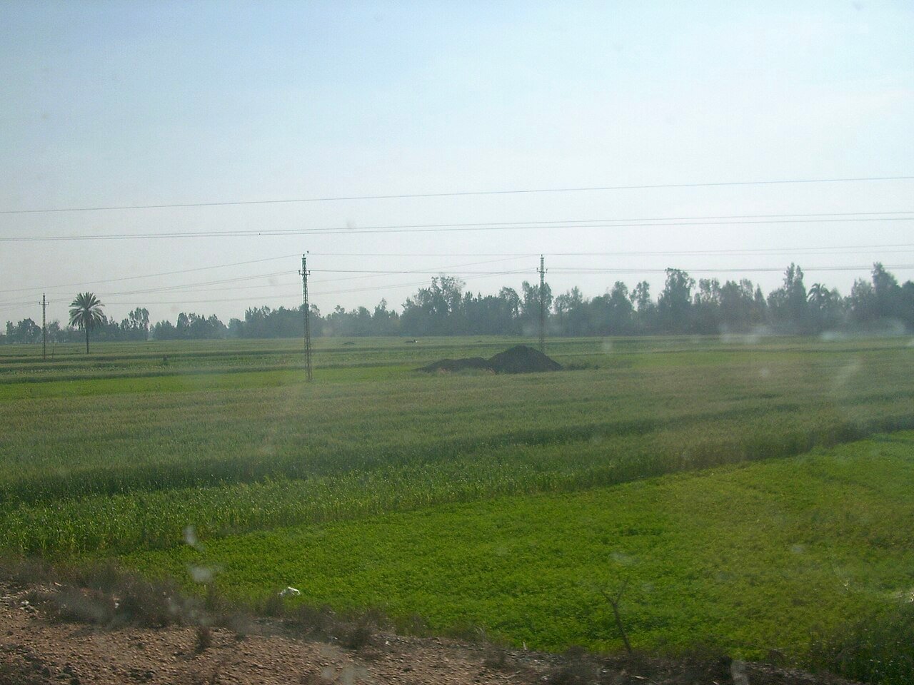 Agriculture