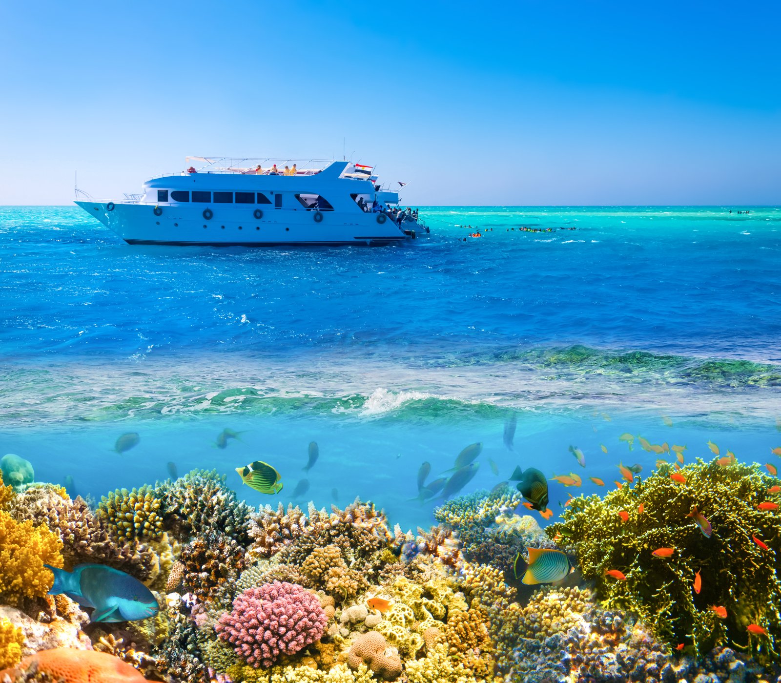 Sinai and Red Sea Egypt