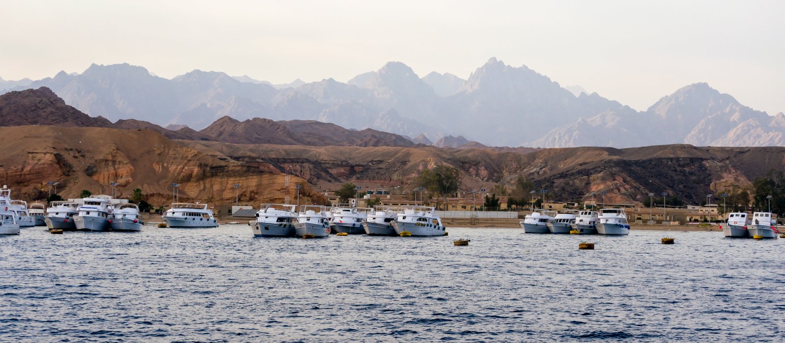 Sinai and Red Sea Egypt