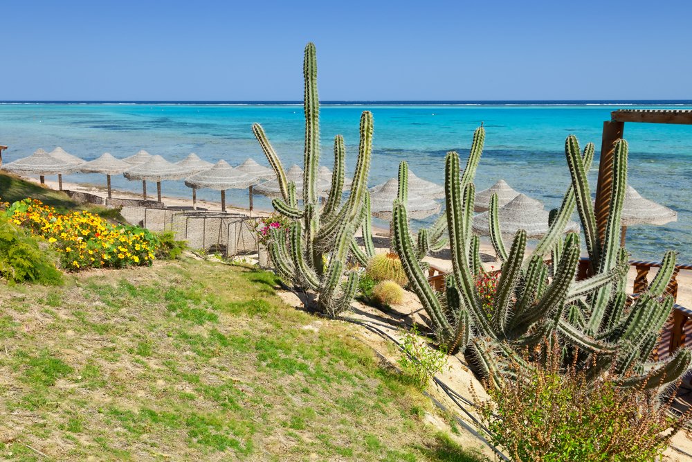 Sinai and Red Sea Egypt