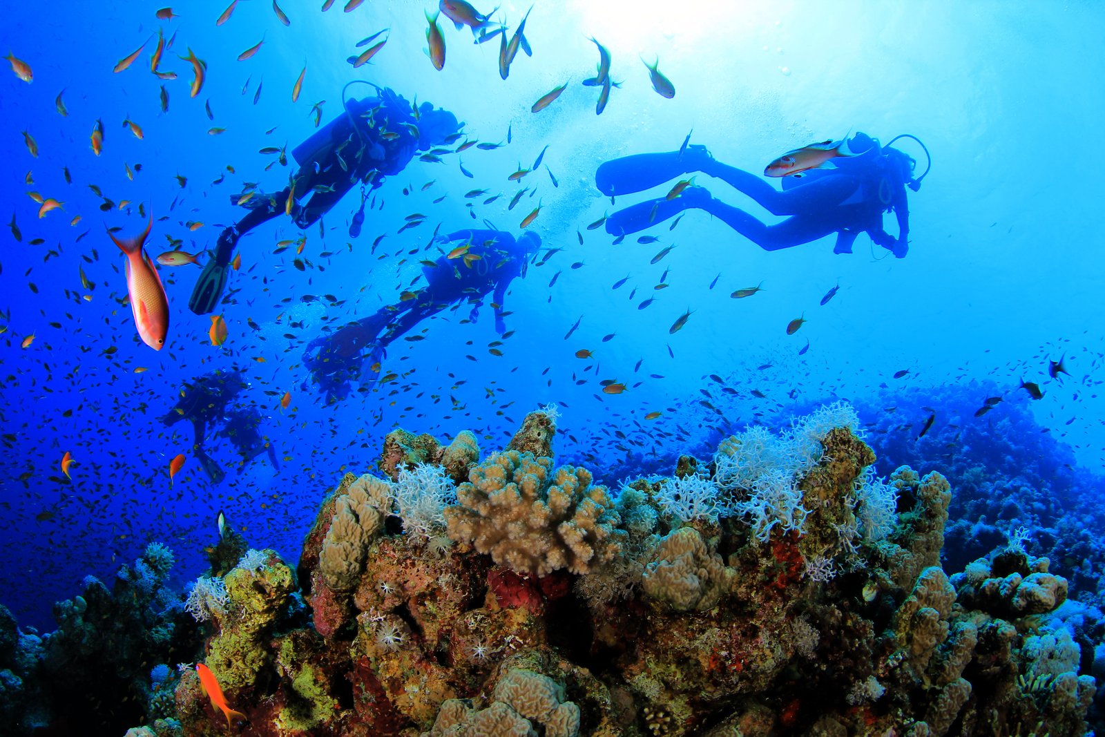 Sinai and Red Sea Egypt